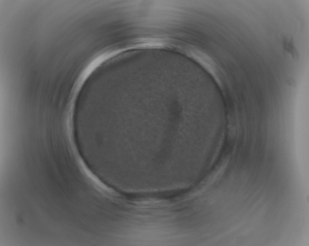 X0000113951475200910091558