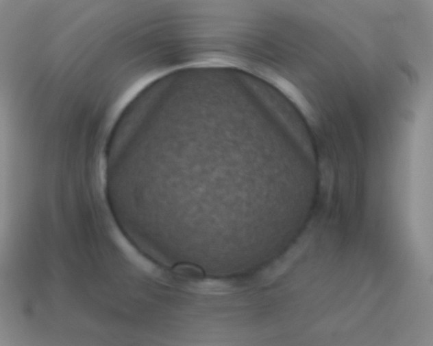X0000113951476200910091558