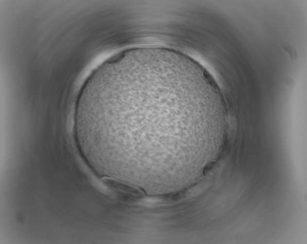 X0000113951477200910091558