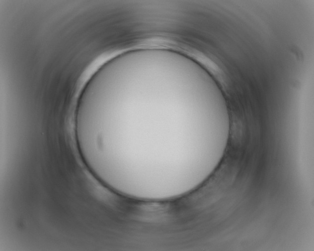 X0000113951478200910091558