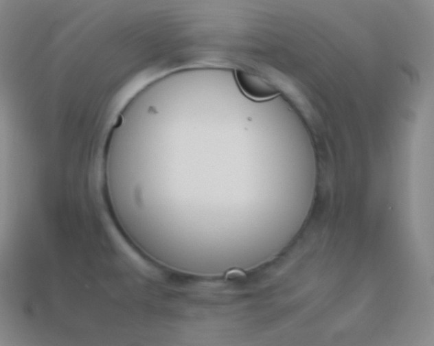 X0000113951479200910091558