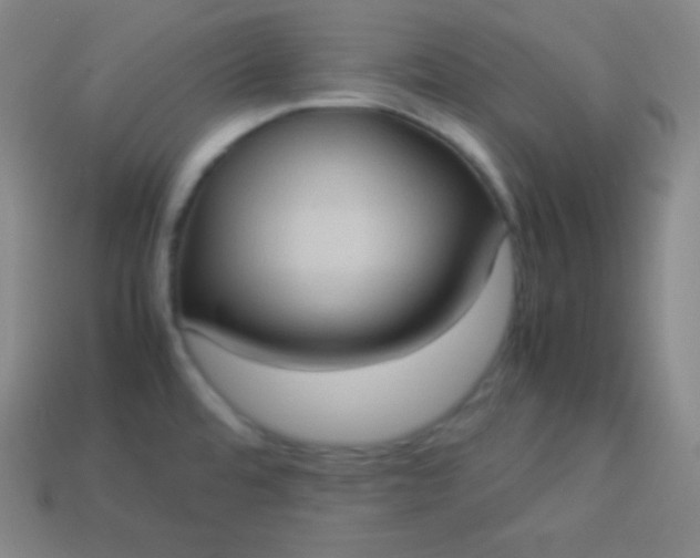 X0000113951480200910091558