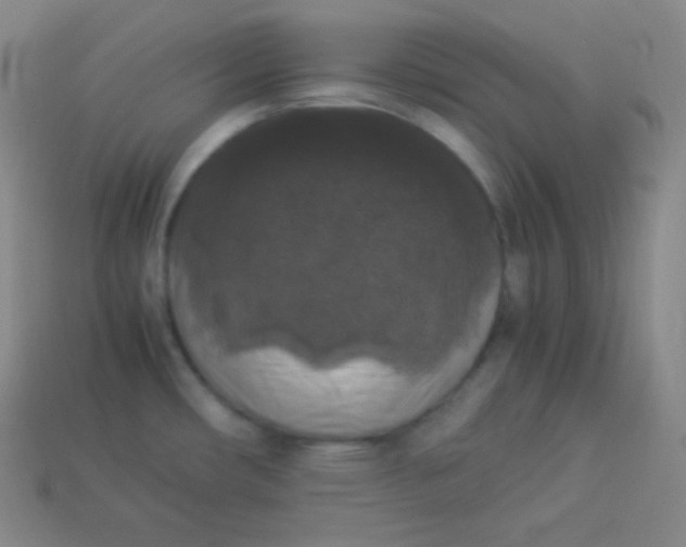 X0000113951482200910091558