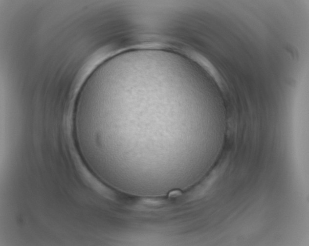 X0000113951483200910091558