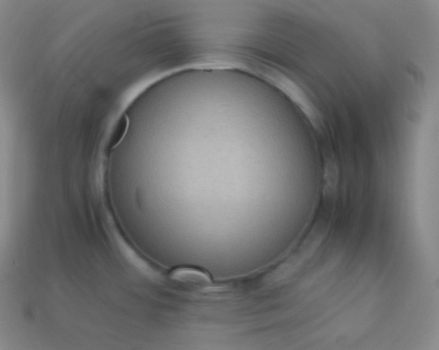 X0000113951484200910091558