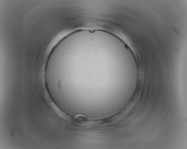 X0000113951485200910091558