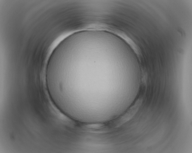 X0000113951486200910091558