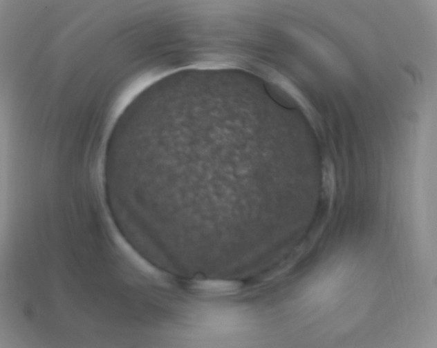 X0000113951487200910091558