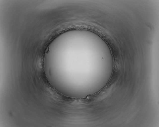 X0000113951490200910091557