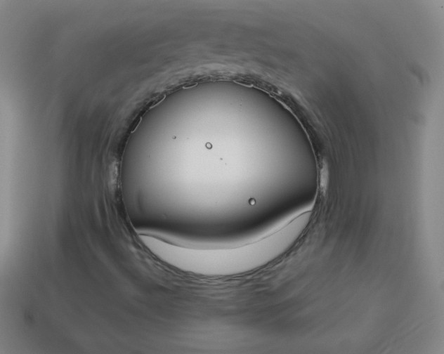 X0000113951492200910091557