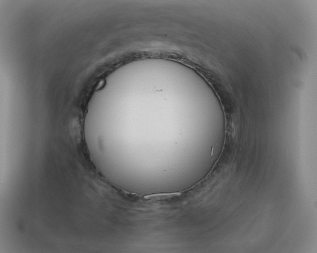 X0000113951493200910091557