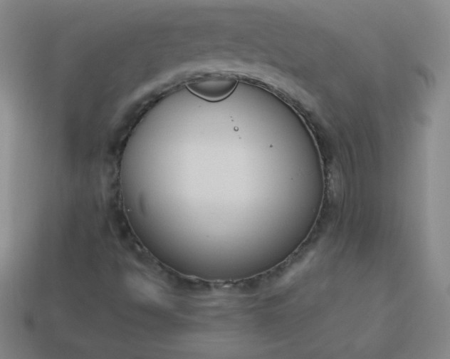 X0000113951494200910091557