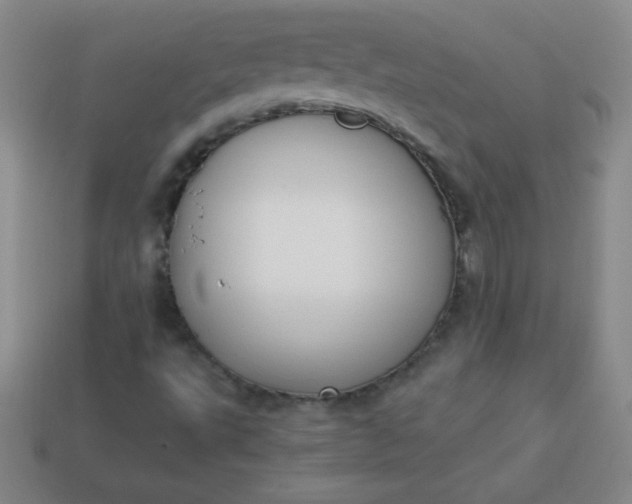 X0000113951495200910091557