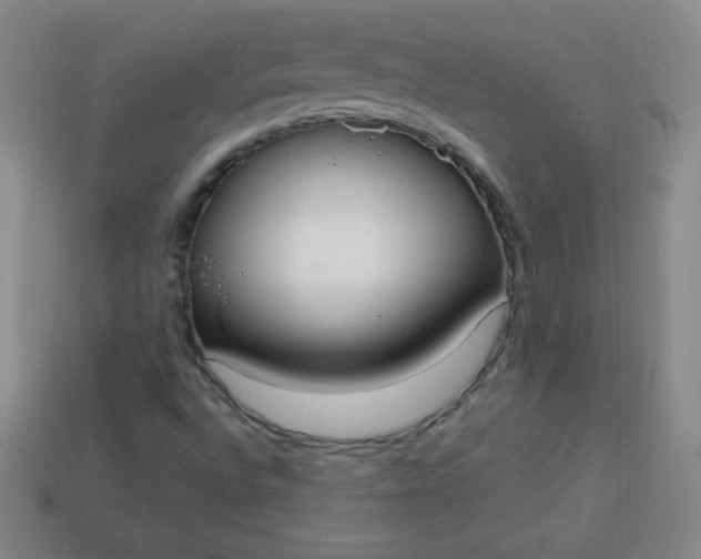 X0000113951496200910091557