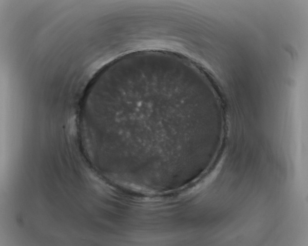 X0000113951497200910091557