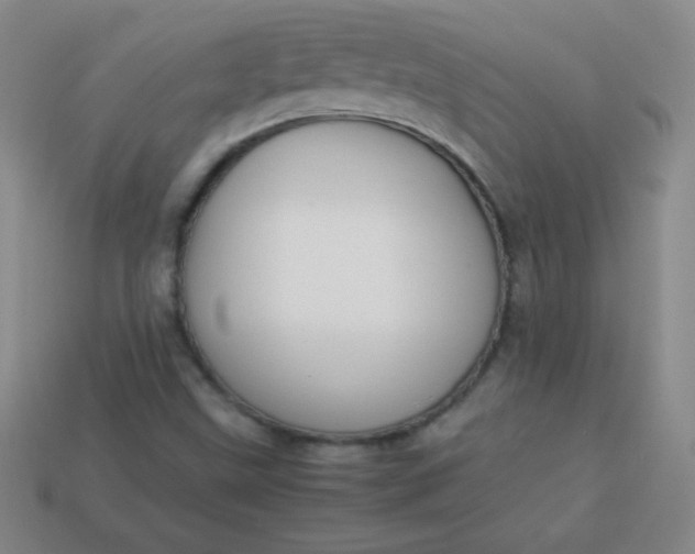 X0000113951499200910091557