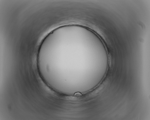 X0000113951500200910091557