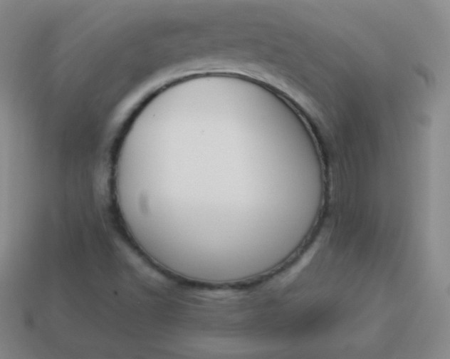 X0000113951502200910091557