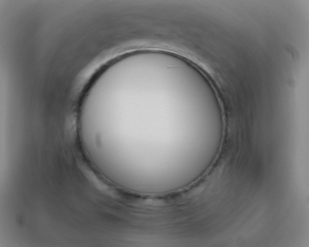 X0000113951503200910091557