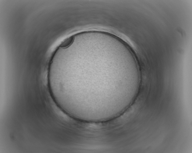 X0000113951504200910091557