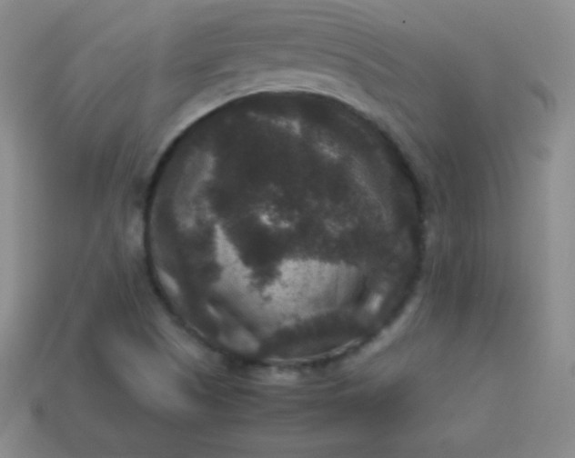 X0000113951505200910091557
