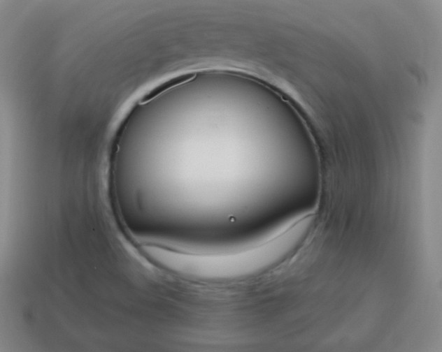 X0000113951508200910091557
