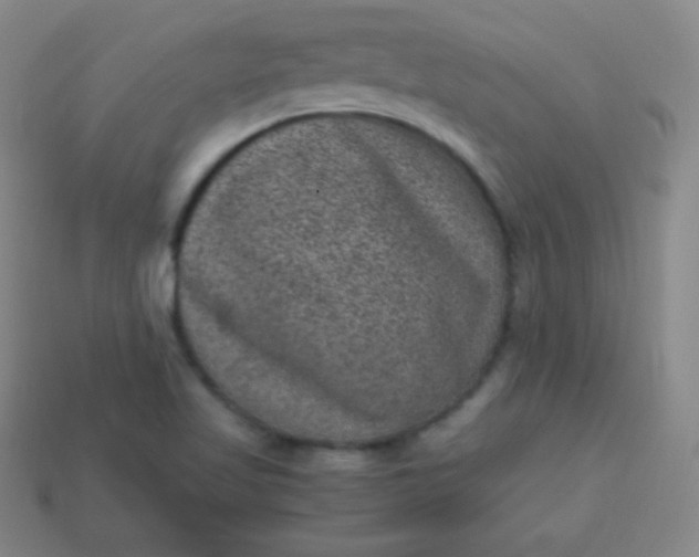 X0000113951509200910091557