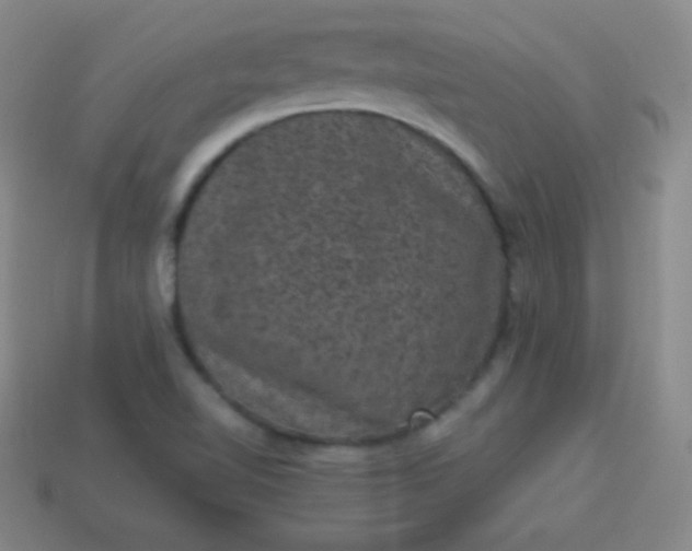 X0000113951510200910091557