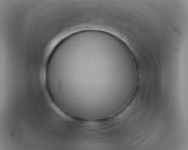 X0000113951511200910091557