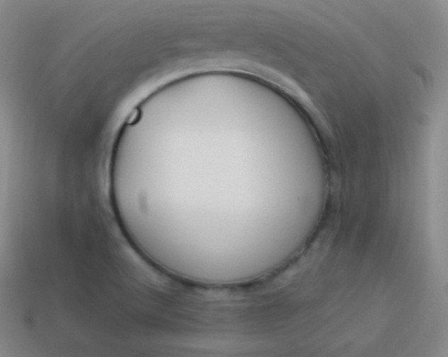 X0000113951512200910091557