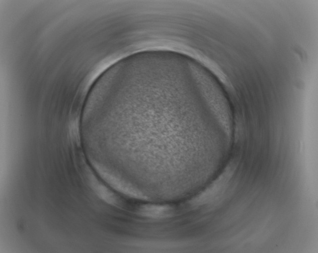 X0000113951513200910091557