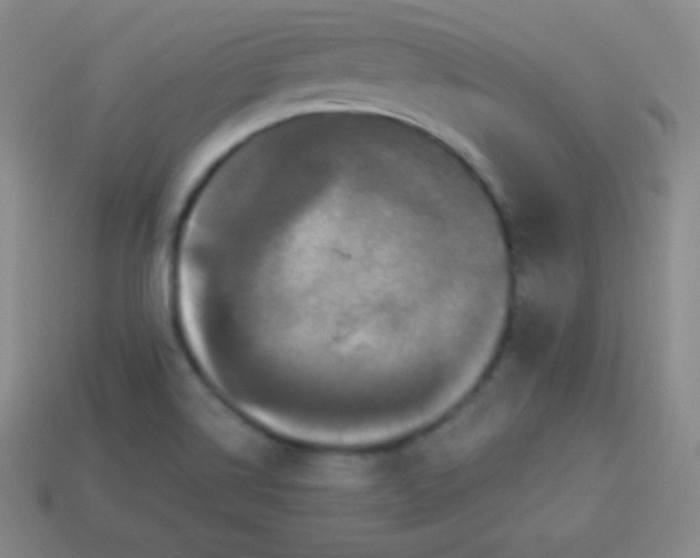X0000113951514200910091557