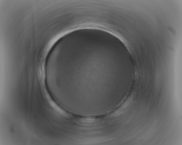 X0000113951515200910091557