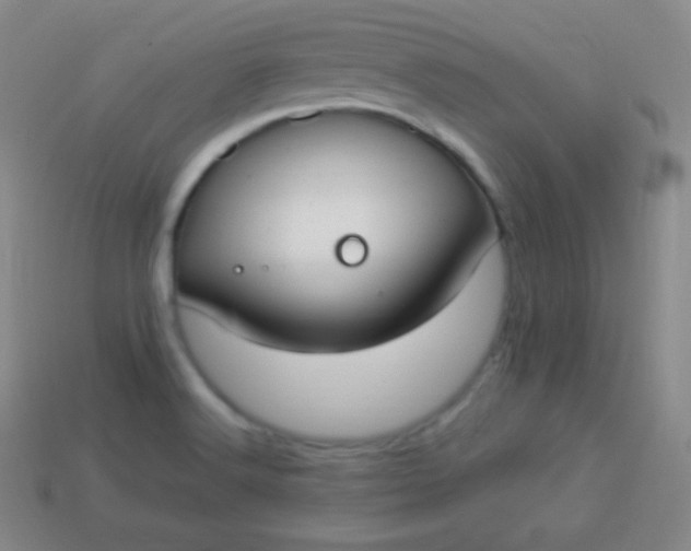 X0000113951516200910091557