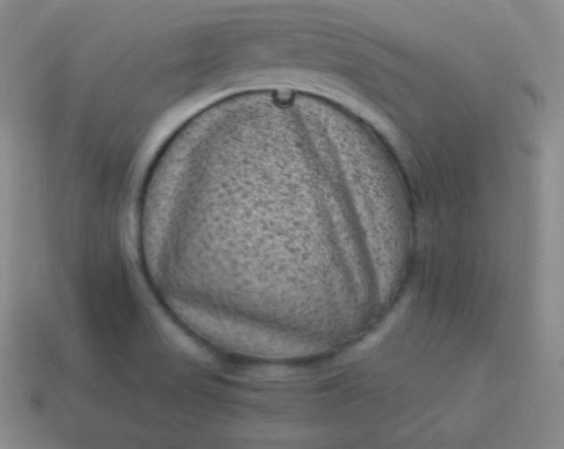 X0000113951517200910091557
