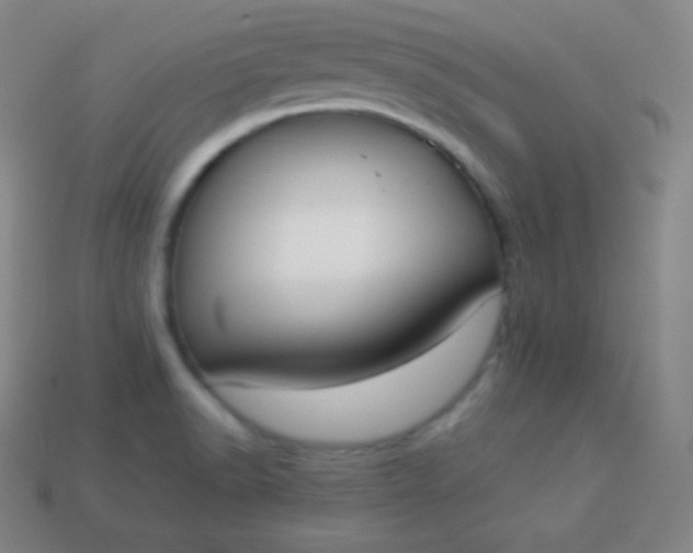 X0000113951518200910091557
