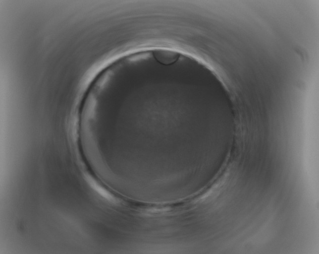 X0000113951519200910091557
