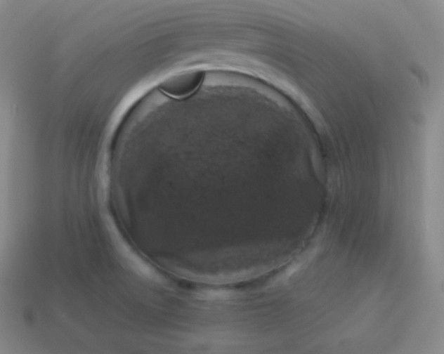 X0000113951522200910091557