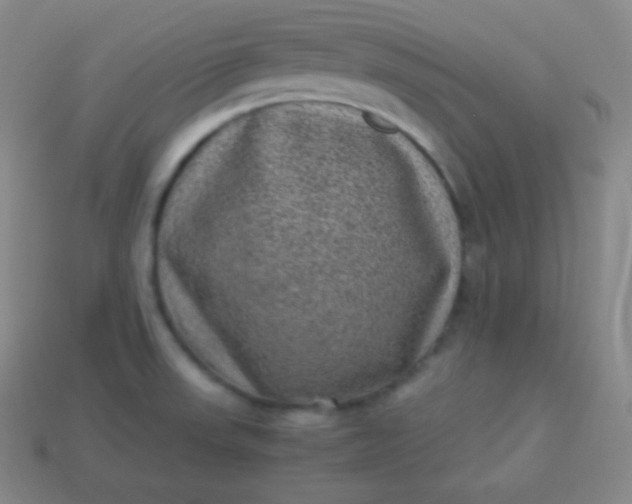 X0000113951523200910091557
