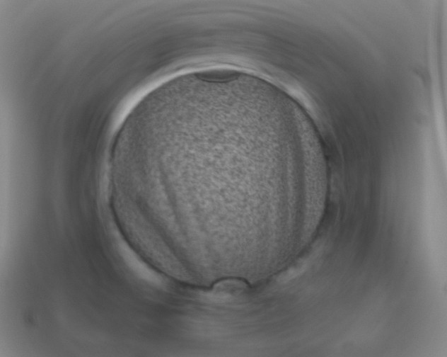 X0000113951524200910091557
