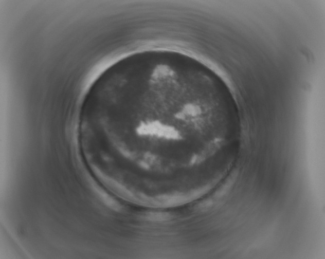 X0000113951525200910091557