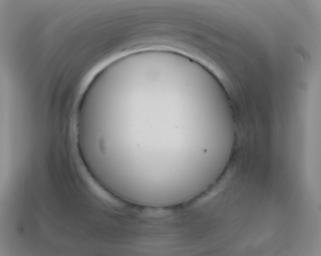 X0000113951526200910091557