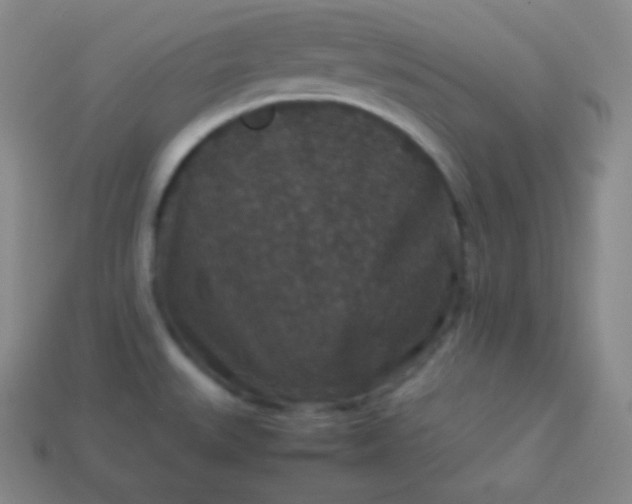 X0000113951527200910091557