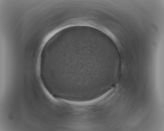 X0000113951528200910091558