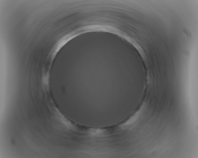 X0000113951529200910091558