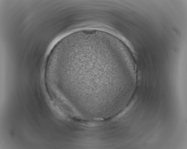 X0000113951530200910091558