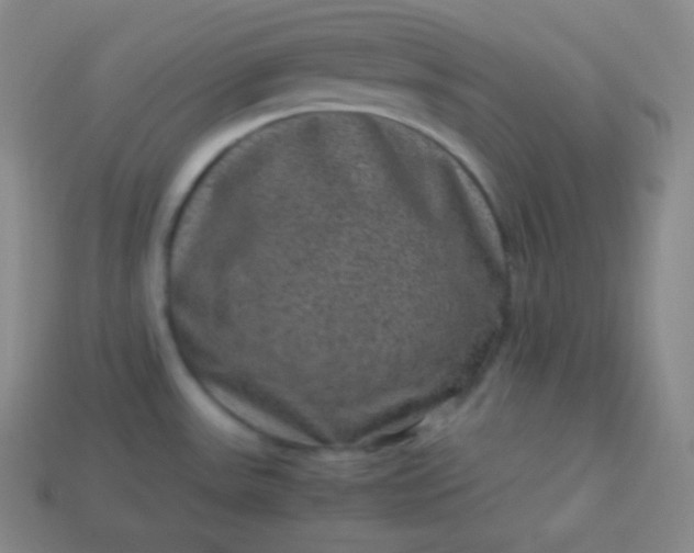 X0000113951531200910091558