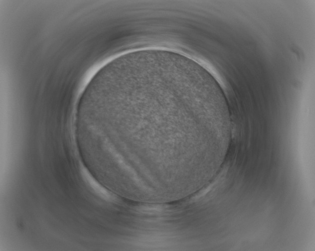 X0000113951532200910091558
