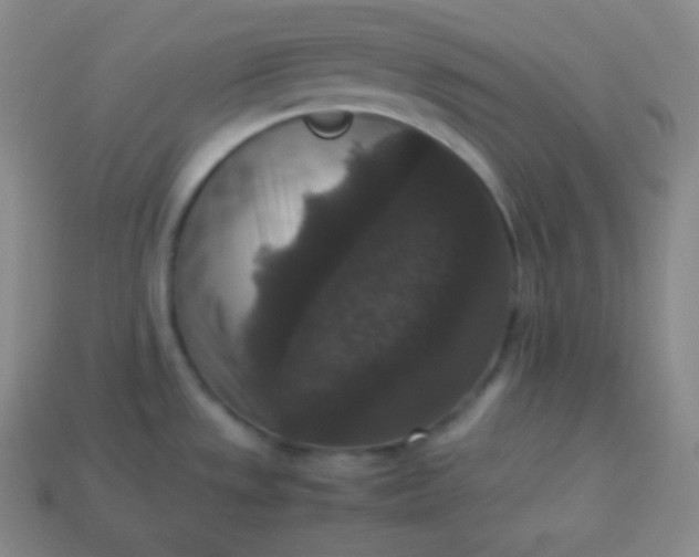 X0000113951533200910091558