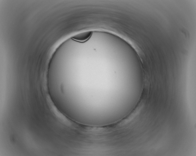 X0000113951534200910091558